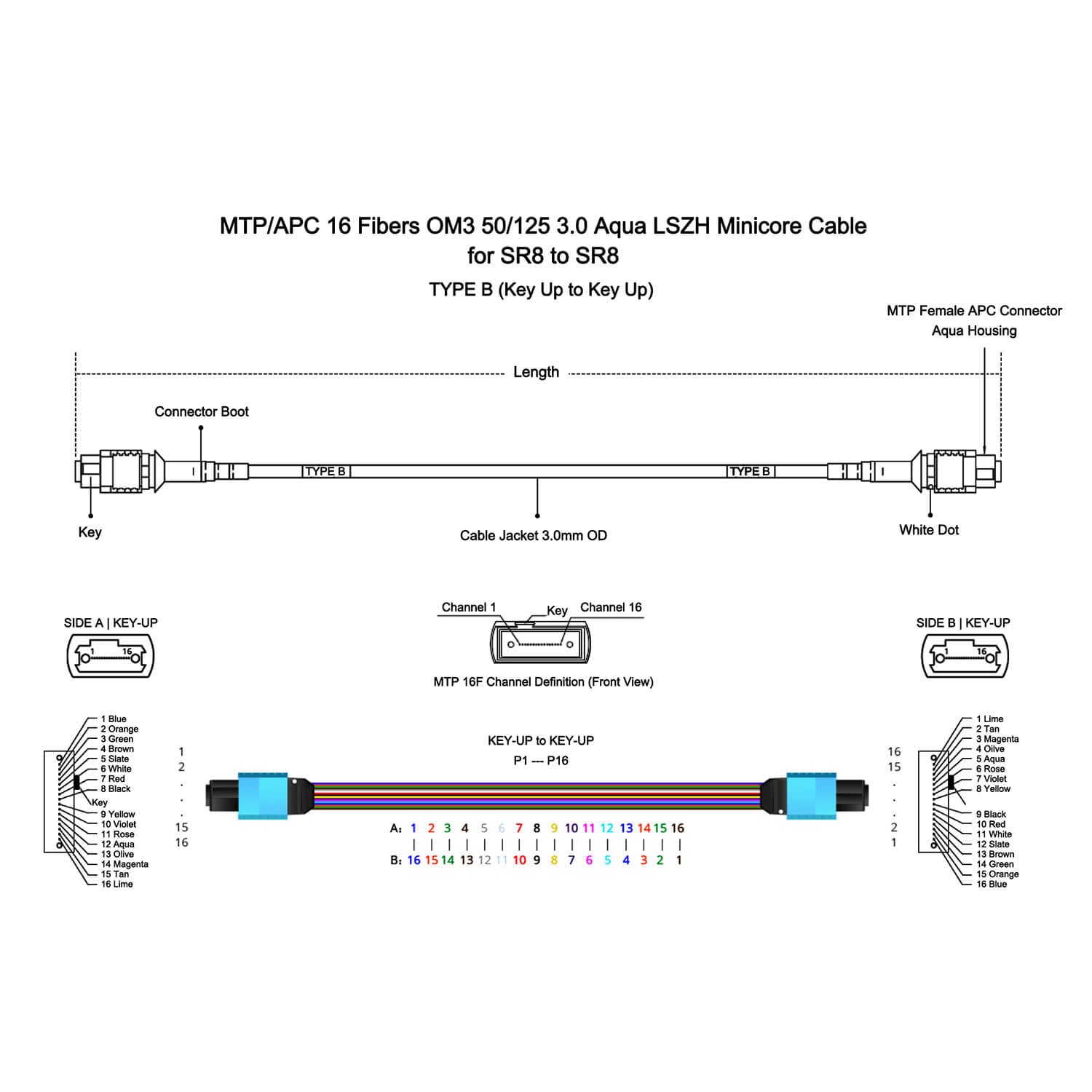 16 Fibers MTP/MPO-APC to MTP/MPO-UPC (F/F) OM3 Multimode 50/125 Fiber Trunk Cable