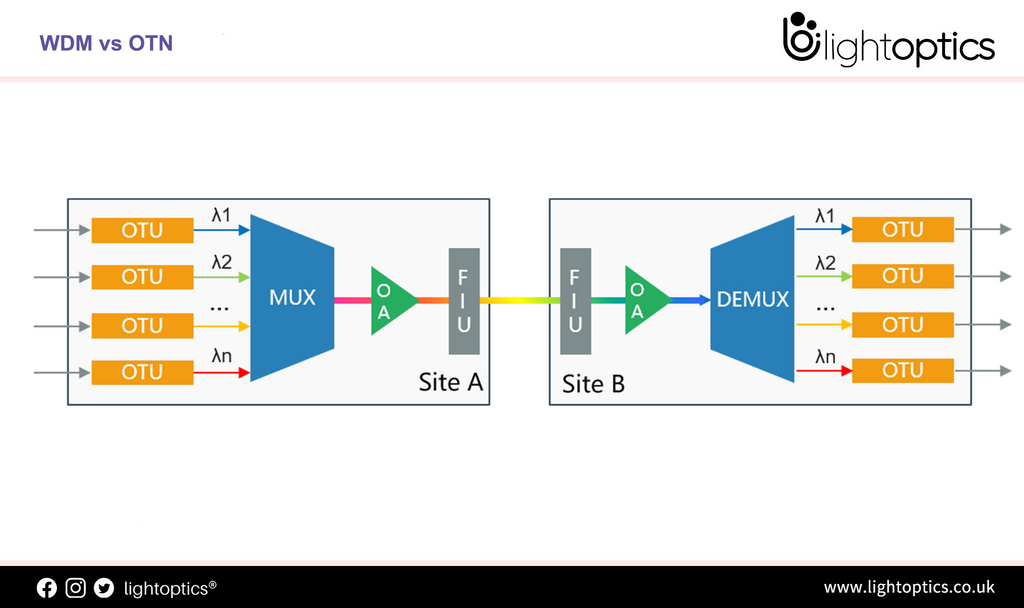 Difference between WDM vs OTN