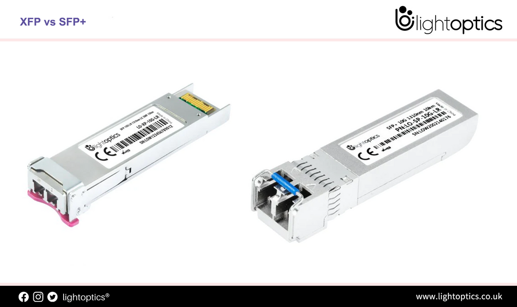 XFP vs SFP+: What Are the Differences?