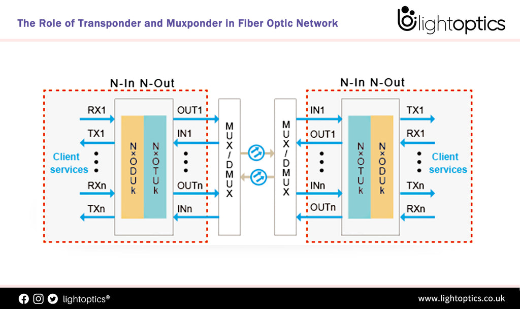 The Role of Transponder and Muxponder in Fiber Optic Network