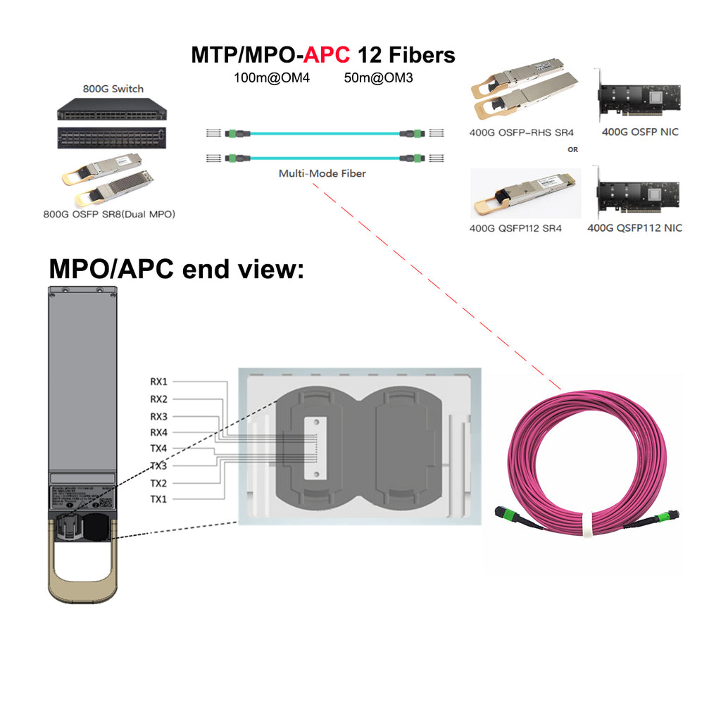 12 Fibers MTP/MPO APC Female OM4 Fiber Trunk Cable for Nvidia OSFP 400 ...