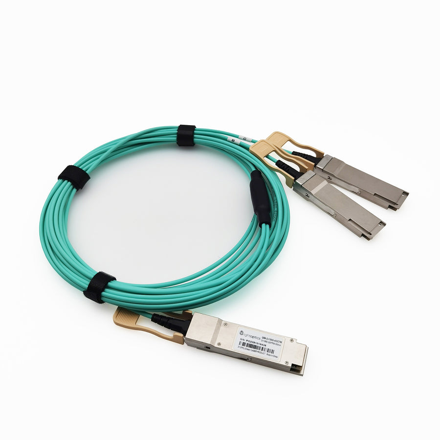 Personalizzato 200G QSFP56 a 2 x QSFP56 Cavo in Rame Breakout Attivo ad Attaco Diretto - Europa
